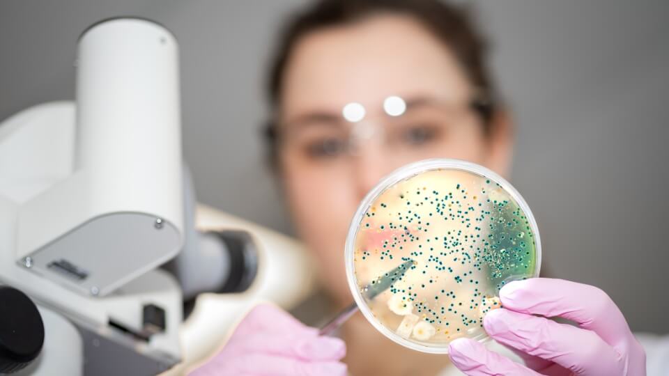 Vědec s bakteriemi